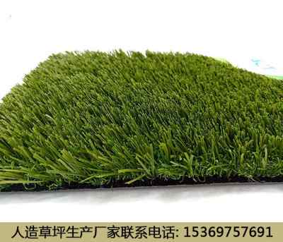 新聞 衢州幼兒園人造草坪鋪設(shè)費用