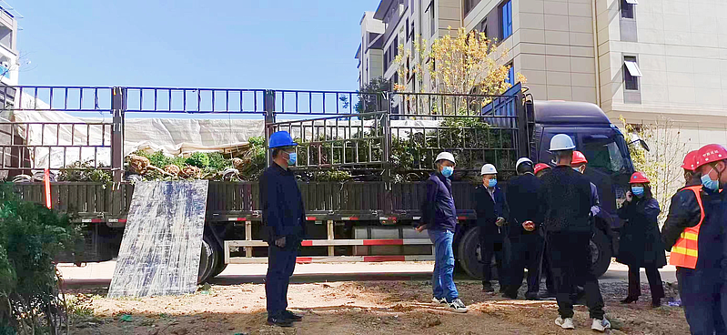 延安市森林病蟲害防治檢疫站 守護(hù)陜西種苗健康的綠色衛(wèi)士